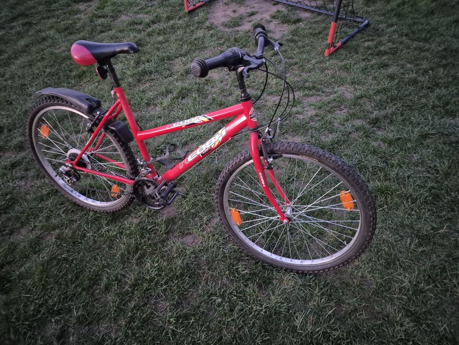 Bicicleta Copii si Adulti