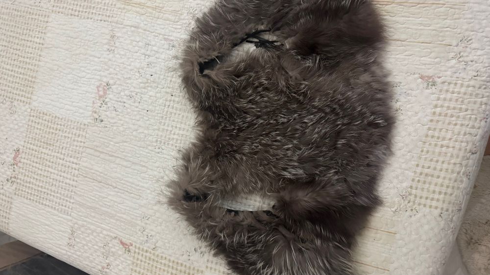 Къс елек от лисица