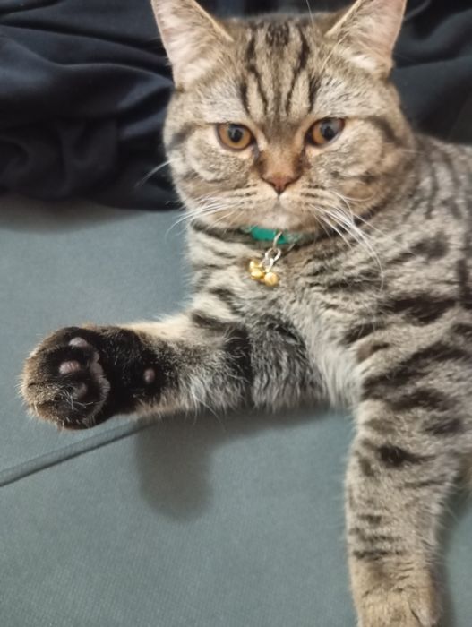 Kecha korish porno kamera