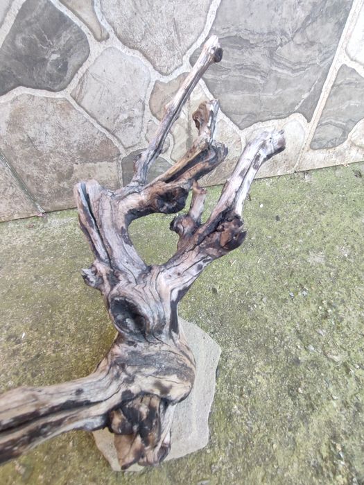 Decorațiuni acvariu - terariu