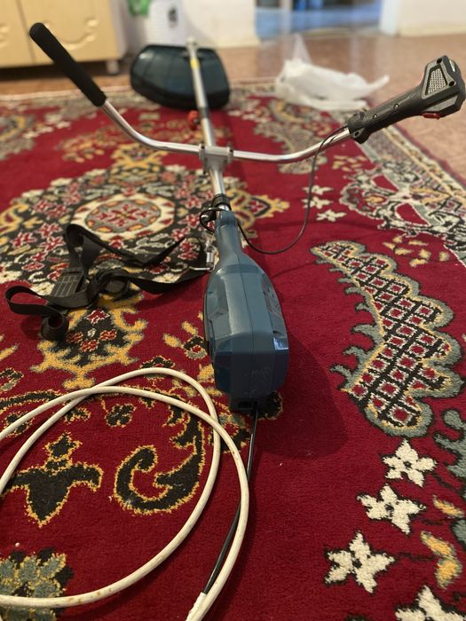 Гозона носилкаа.