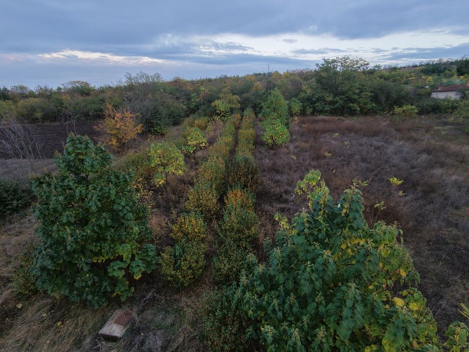 Продава се Къща в с. Смилец, Област Пазарджик - 100 кв.м за 220 €/кв.м - Снимка #7