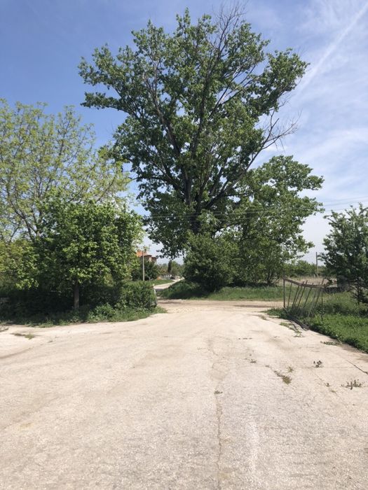 Продава се Промишлена сграда в с. Хаджиево, Област Пазарджик - 3720 кв.м за 54 €/кв.м - Снимка #7