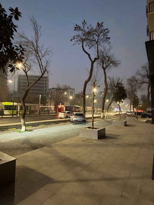 Шота Руставели Жк "Shoshkent" нежилое помещение 181кв.м первая линия