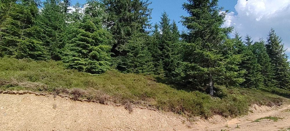 Teren in muntii Apuseni,Belis-Cluj