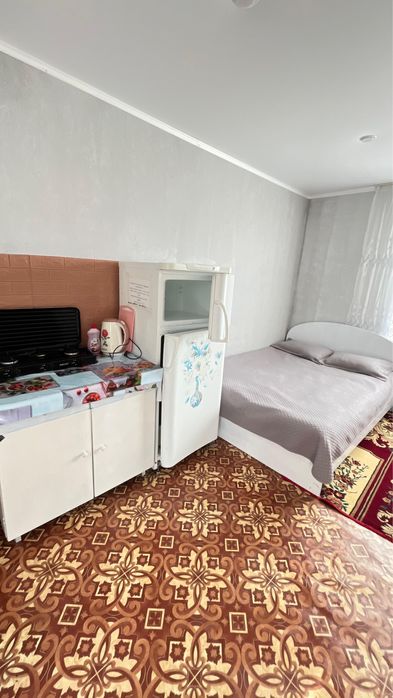 Боровое В центре!!! дом и домики