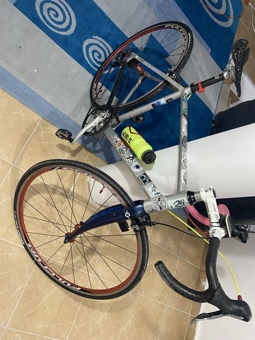 Vand cursiera ,exact ce se vede in poze .