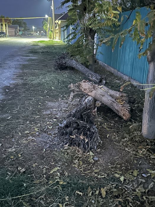 Отын тегын жыинап алып кетсе болды.