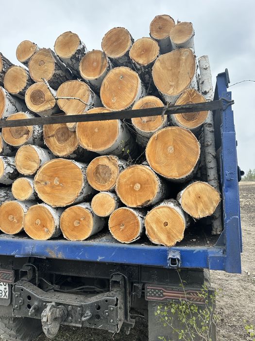 Продам бревно кругляк береза