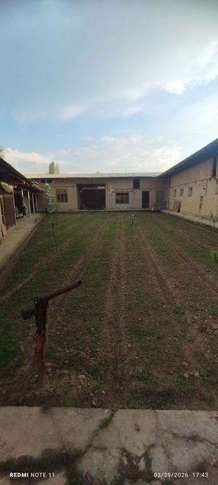 Arendaga joy. Сдаётся на аренду