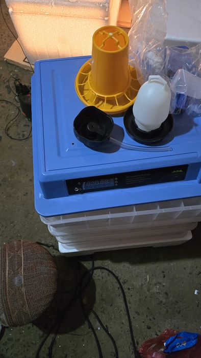 Завод инкубатор