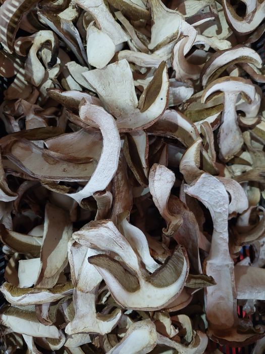 Hribi Uscati  cal.1 extra/kg