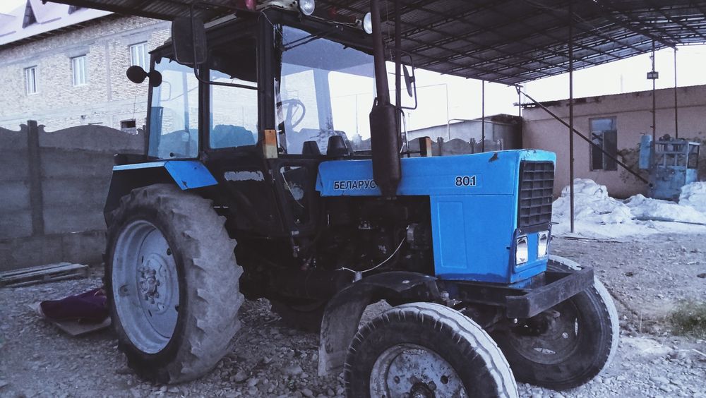 Трактор беларус 80.1
