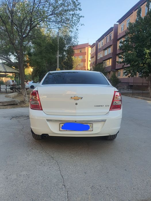KOBALT MSM 2025 GA 2026 YILI gazi prapan tabletka 12 ming yurgan