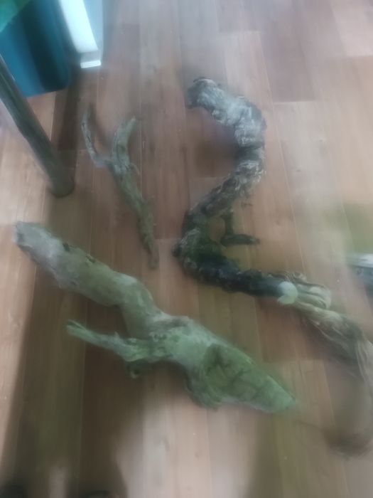 Продам коряги с реки