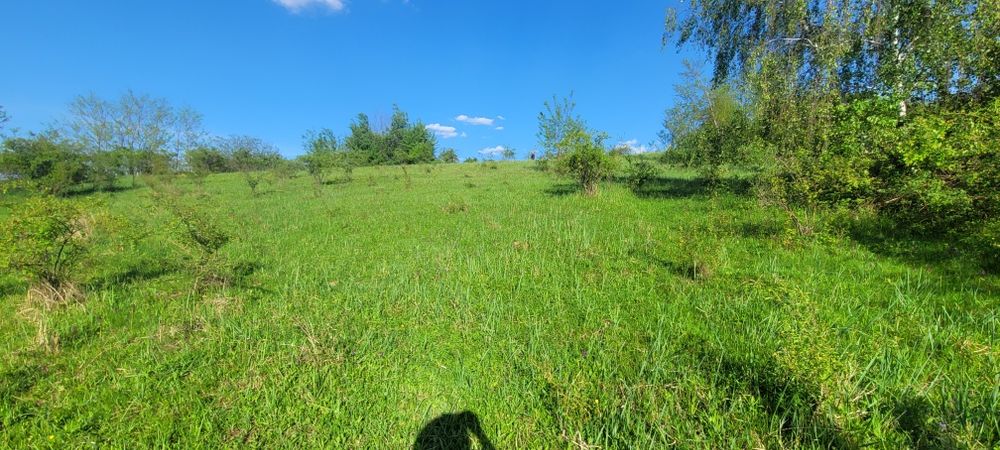 Vand teren arabil 3 ha