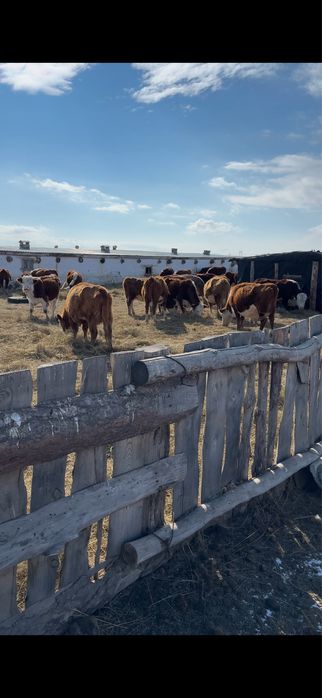 Крестьянское хозяйство
