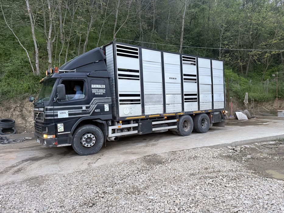 Volvo FM12 animale vii