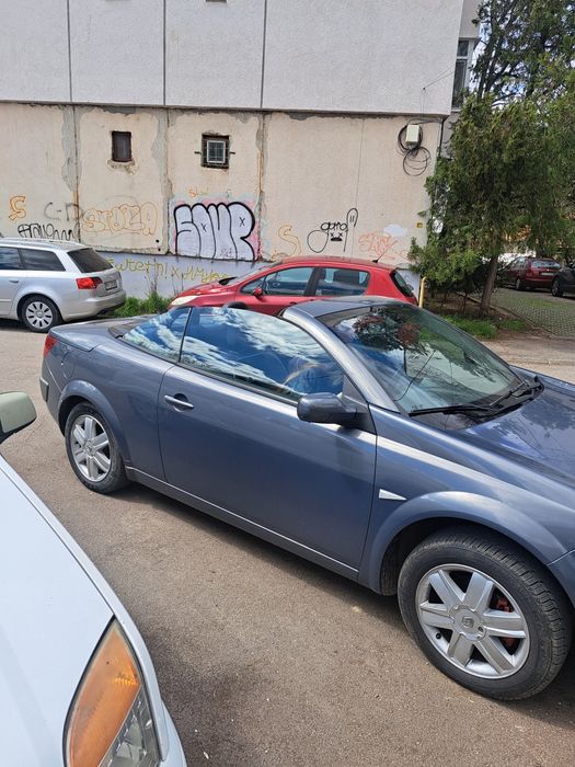 RENAUT  Megan Cabrio