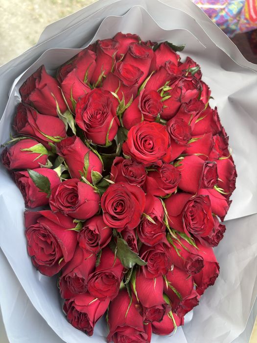 Продам 51 розы свежые