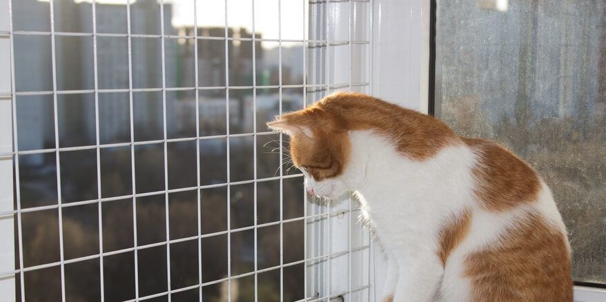 Анти Кот Сетки для Питомцов