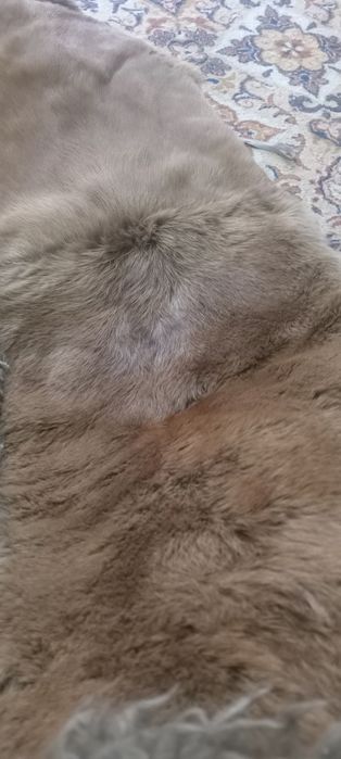 Продам чехлы для машыны