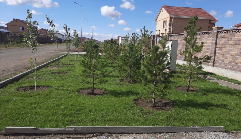 Благовстроиство территории Укладка брусчатка