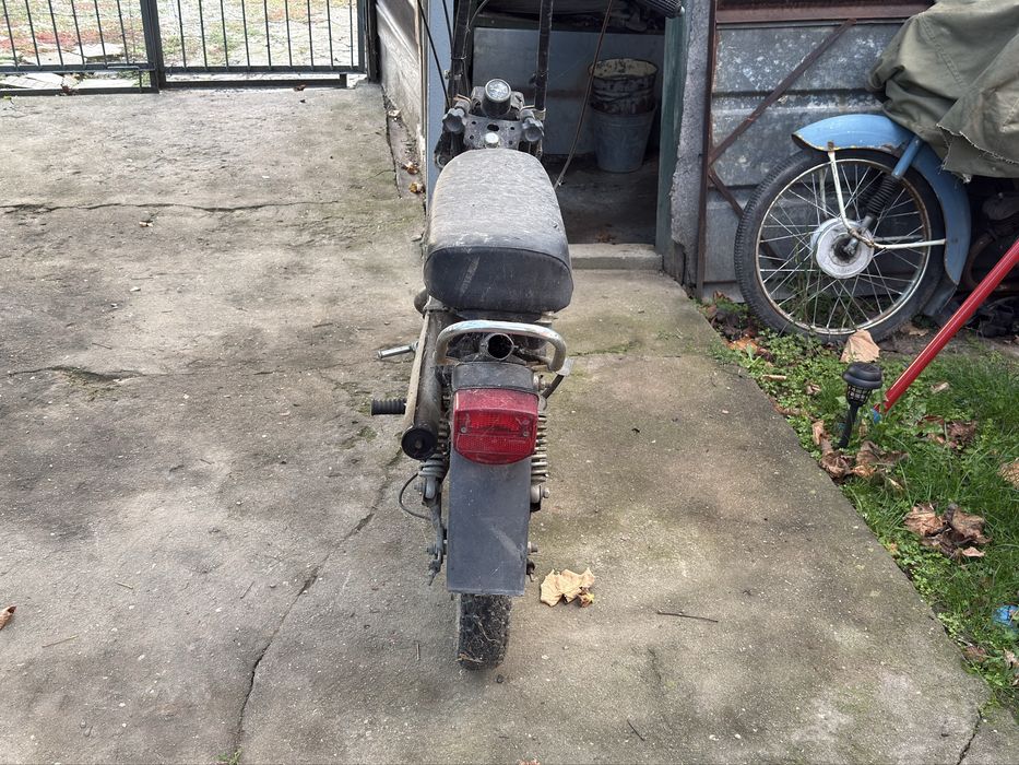 Карпати 50 перфектно