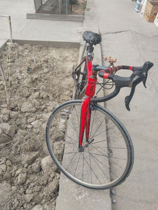 Go‘nka velik sotiladi ideal