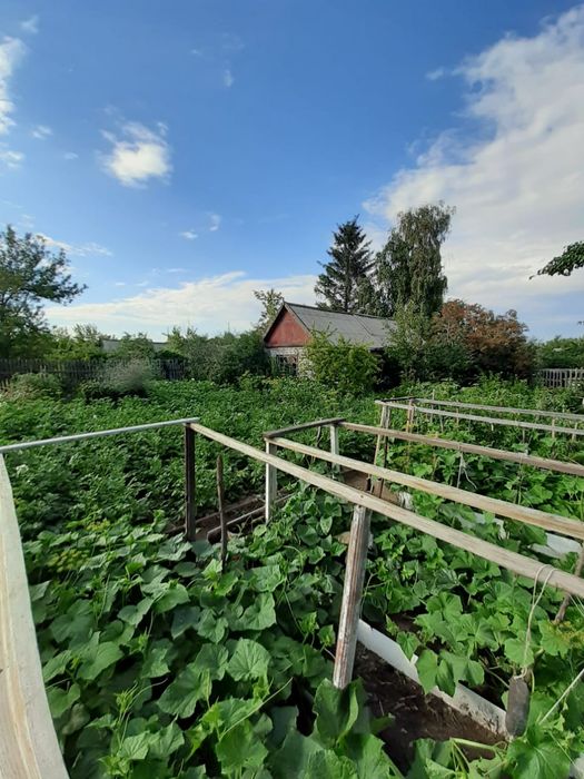 Дача в черте города