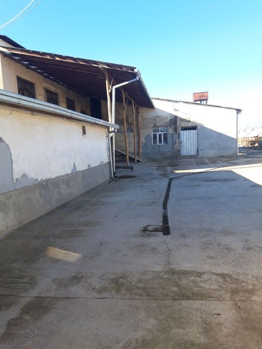 Dacha, yer dala hovli, 60 сотих майскийда жойлпшган
