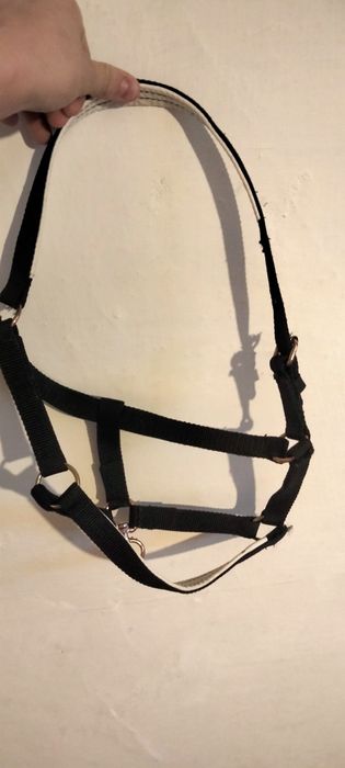 Продам недоуздок новый