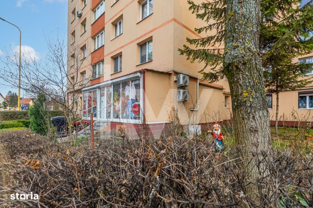 Spatiu comercial stradal 57 mp utili, complet utilat