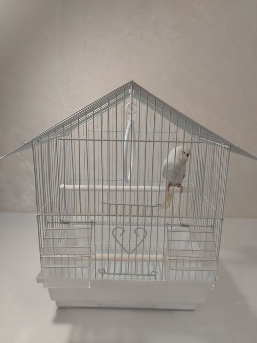 Подарок на дни рождения