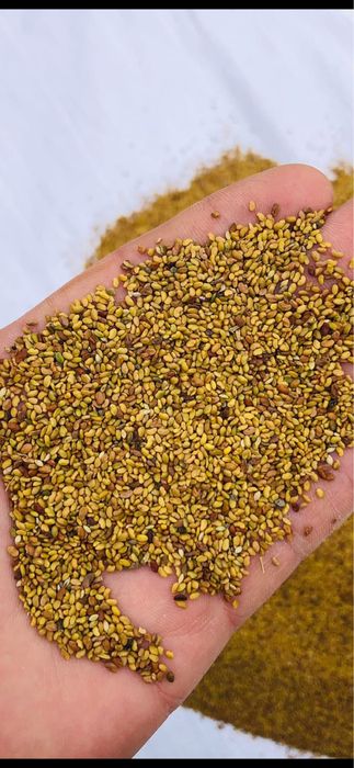 Vand samanta de ghizdei trifoi lucerna