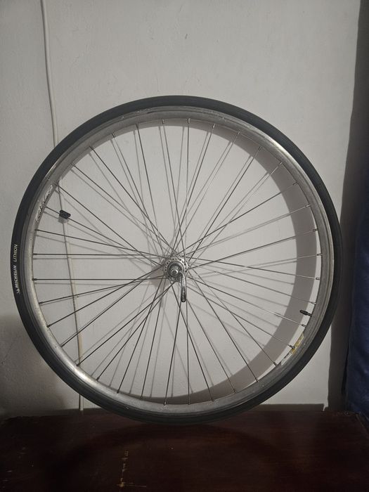 Капла Кампаньоло  28 цола