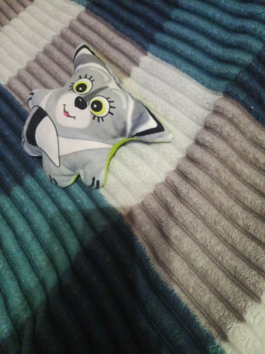 Енот из мема успогойся