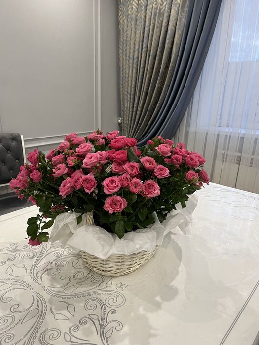 Кустовые розы, красные розы