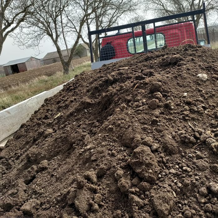 Mraniță putredă de oaie