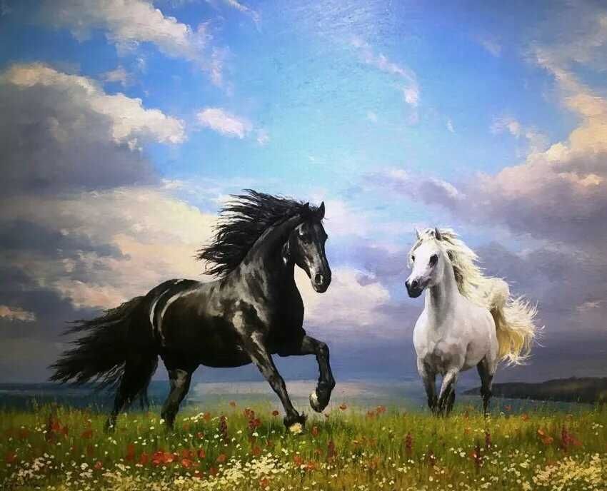 Картины лошадей фото Картины лошадей фото