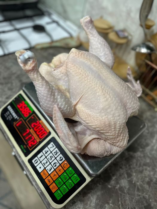 Мясо домашнего бройлера