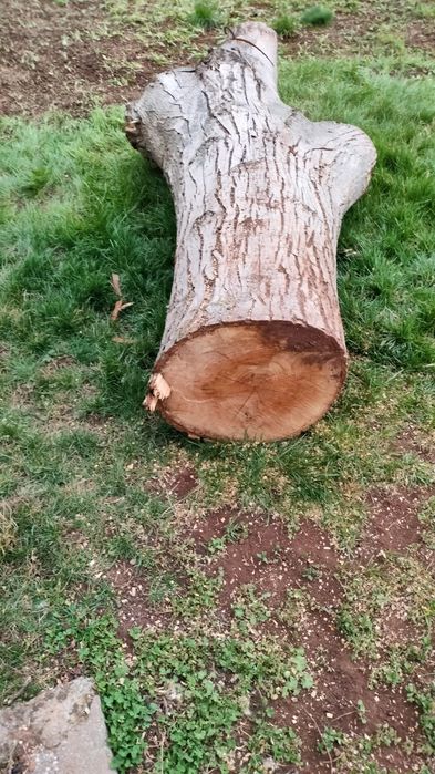 Продавам Орех за материал