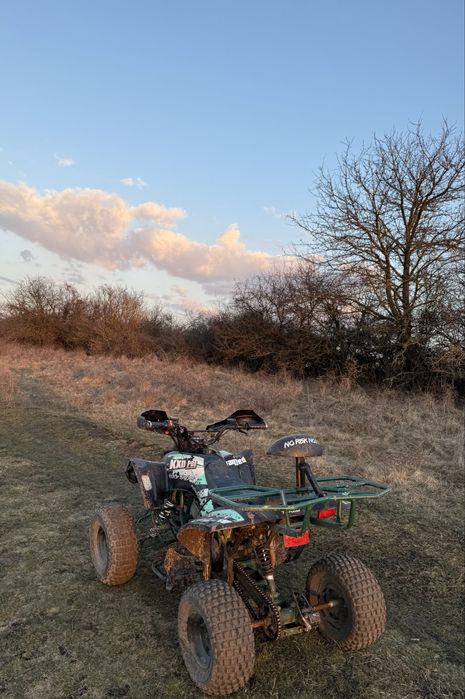 Schimb atv kxd pro Germany 125 4T