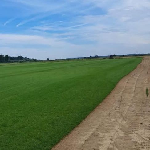 Gazon rulou si sistem de irigatii