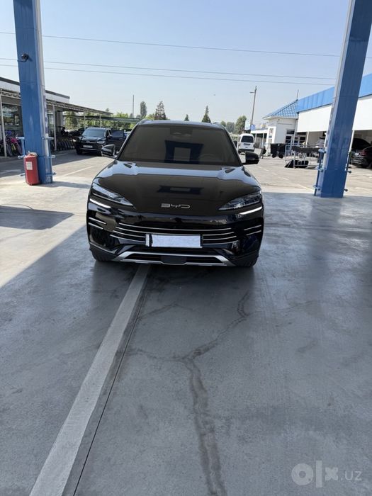 Byd chempion 2024 yil Gibrit