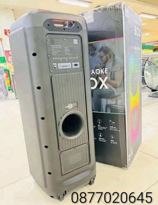 Професионална двойна караоке тонколона 2х12 инча BTS-1938 с Bluetooth