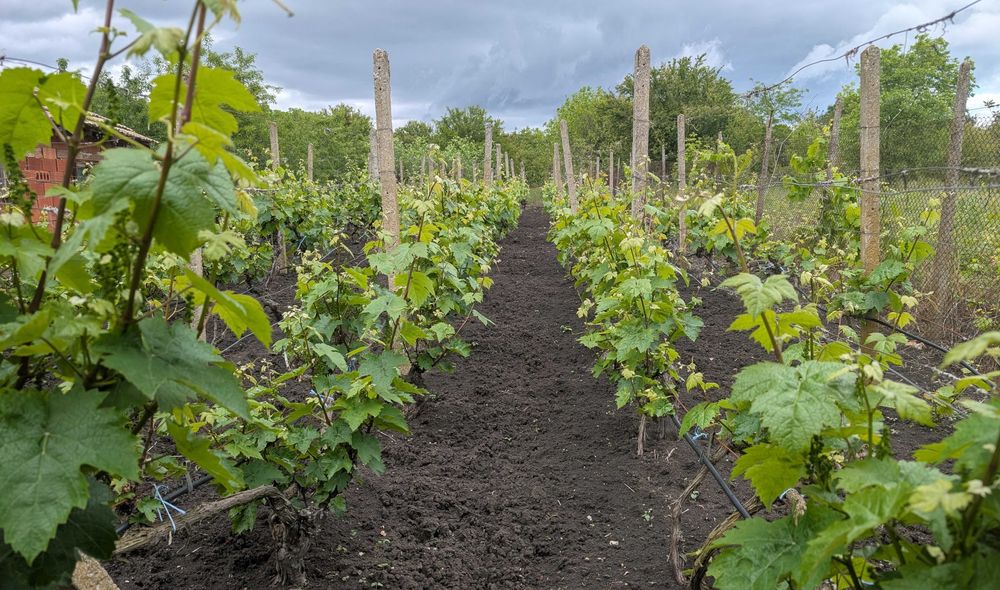 Продава се Къща в с. Горичане, Област Добрич - 107 кв.м за 550 €/кв.м - Снимка #5