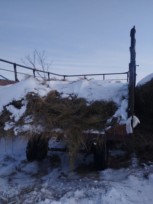 Продам СЕНО. Пол прицепа