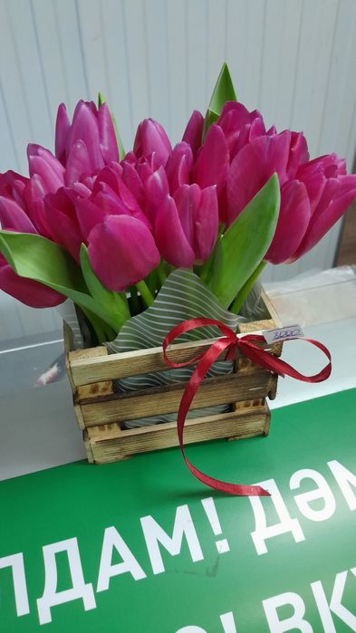 Тюльпаны доставка по городу !