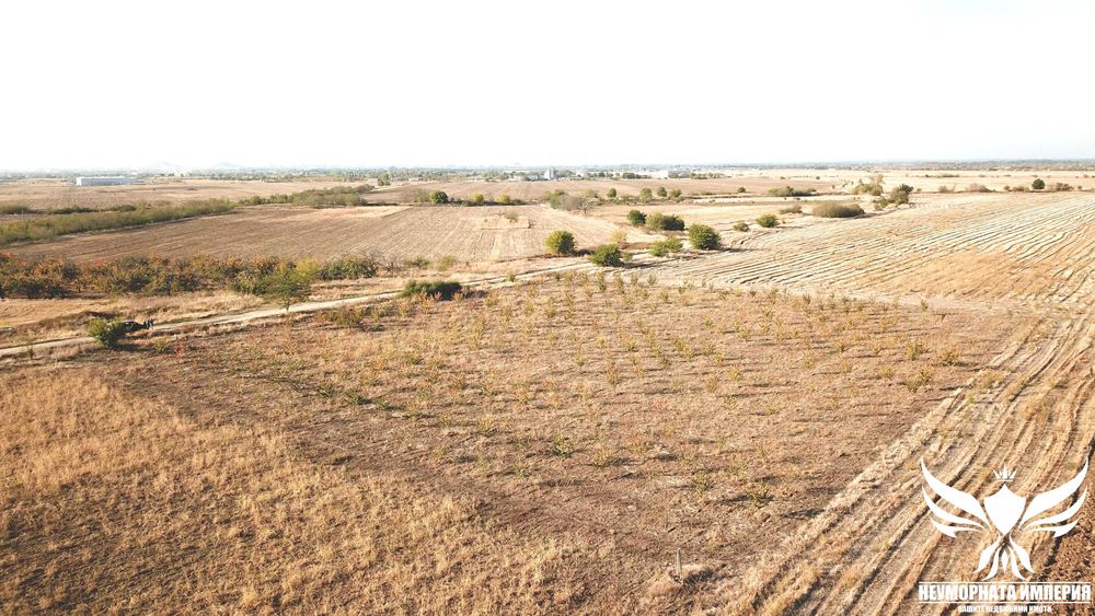 Продава се Земеделски имот в Асеновград -  кв.м за 3009 €/дка - Снимка #2